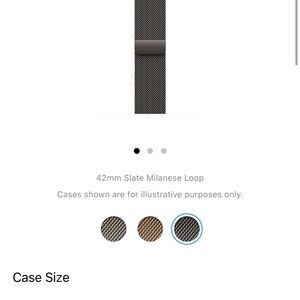 Apple Slate Milanese Loop Watch Band